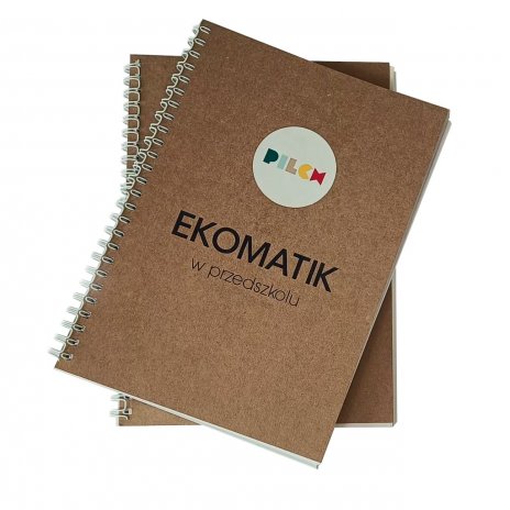 Ekomatik w przedszkolu - Przewodnik